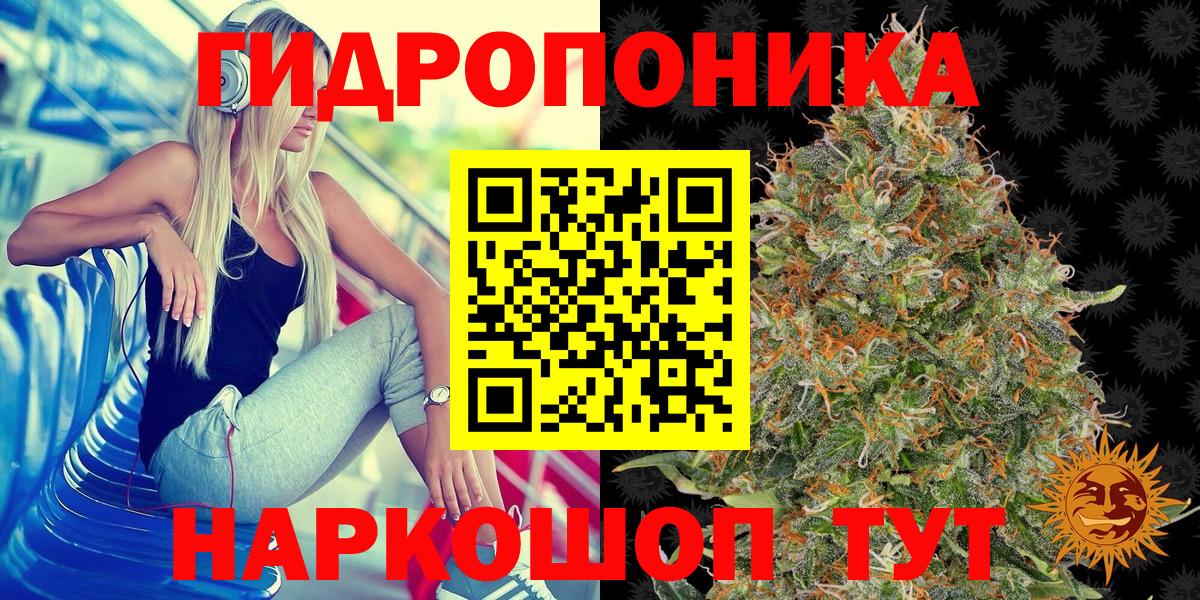 Бошки марихуана марихуана Красный Сулин